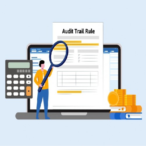 https://goodwilltally.com/How to Prepare your Business for Audit Trail (Edit Log) Rule?